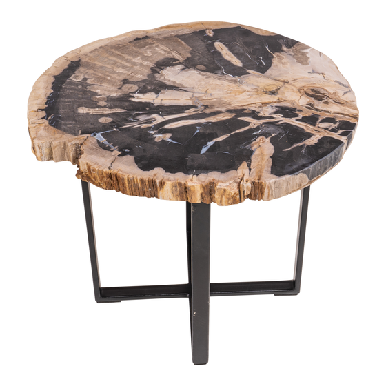 Table basse en bois pétrifié
